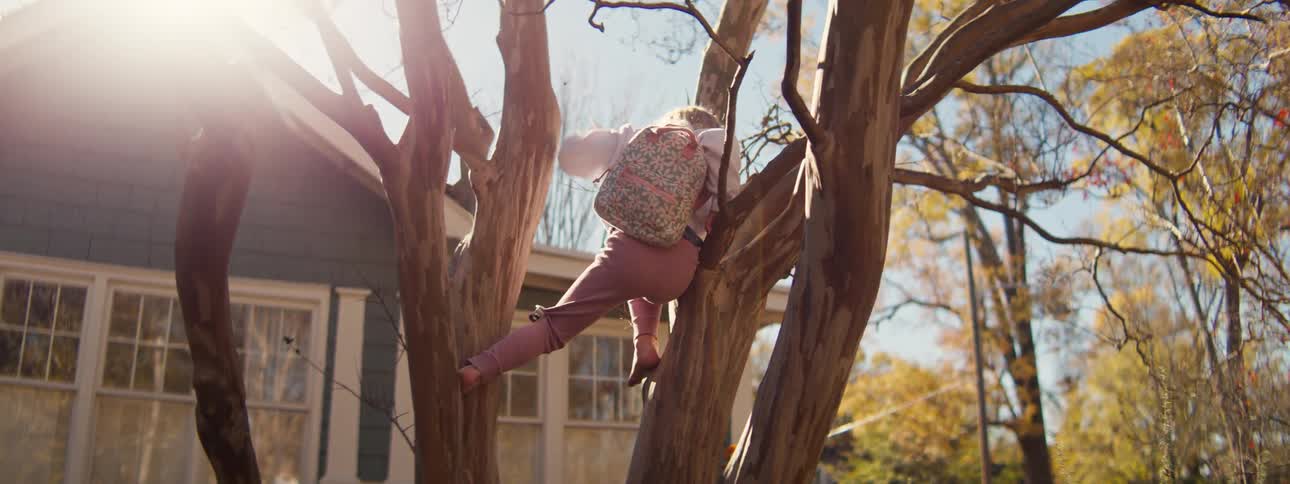 Child climbing down from a tree in a residential yard illuminated by sunlight
