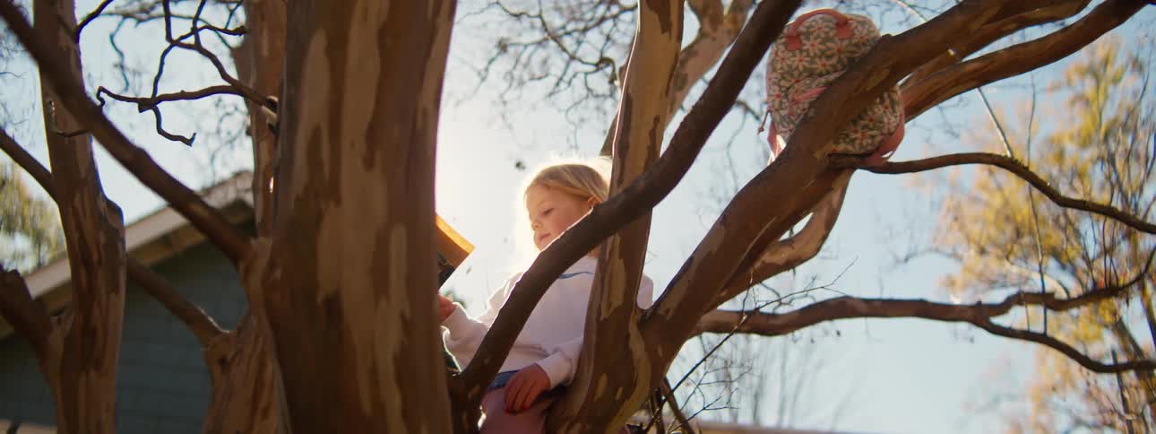 Girl sitting in a tree in front of her house reading a book