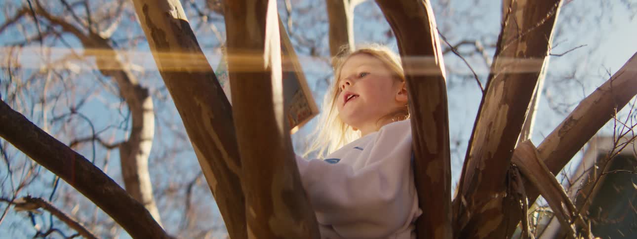 A young girl wearing a white sweatshirt sits in the branches of a tree and reads a book looking forward with a calm and curious mood