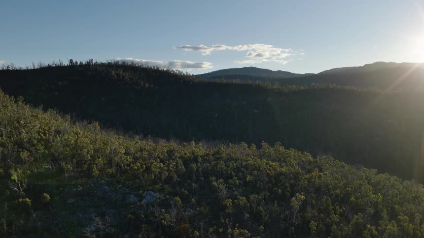 Slopes covered in trees on a mountain range outdoors during day time