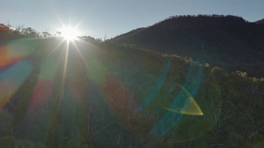 The sun shines brightly over a dense forest on a steep mountainside looking forward with a majestic mood