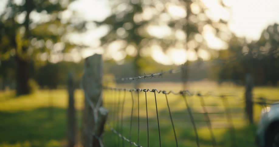 Wire fence marks a green area with trees in the background under natural light