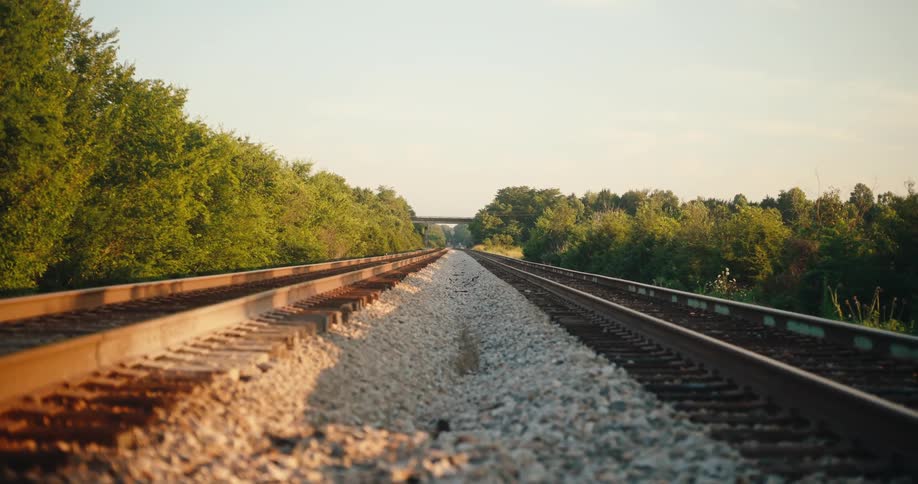 Parallel railroad tracks lead to a concrete underpass lined with green trees under a sunlit sky