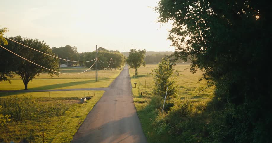 A narrow paved road stretches toward the horizon through a rural landscape with utility poles with wires