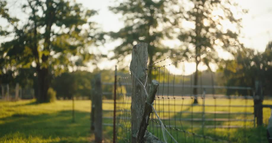 A wooden fence post stands in a grassy field before a distant line of trees at sunset