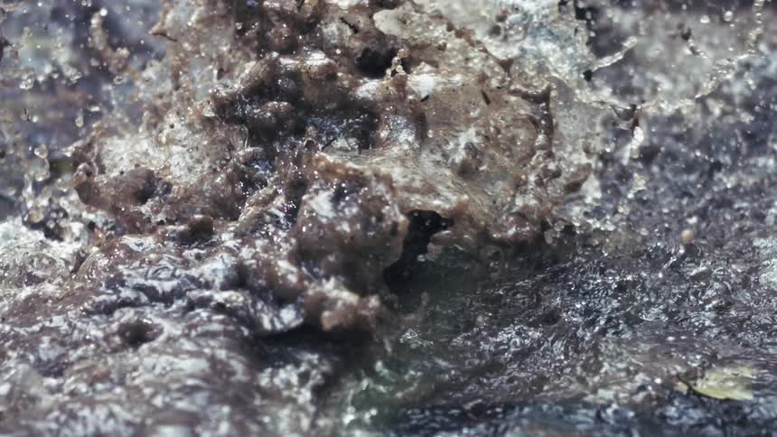 Thick brown mud and murky water erupt upward in a violent splash after a heavy impact sending droplets and wet earth flying across a saturated ground surface filled with small debris and organic matter