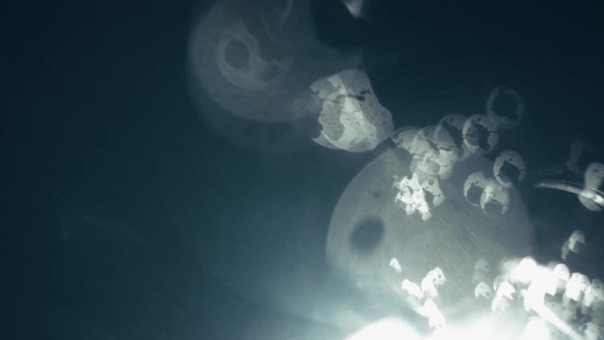 A series of bubbles rising through the water as bright light reflects off them