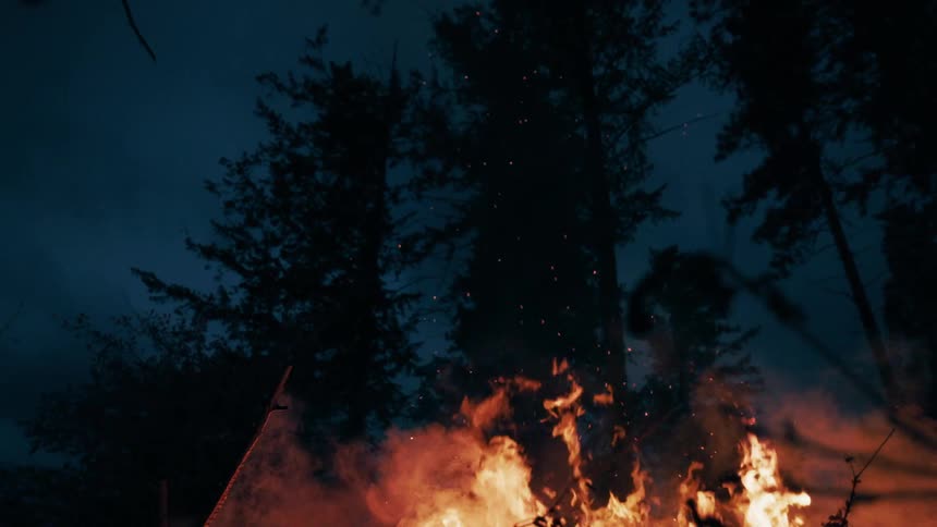 A fire is burning at night in a forest