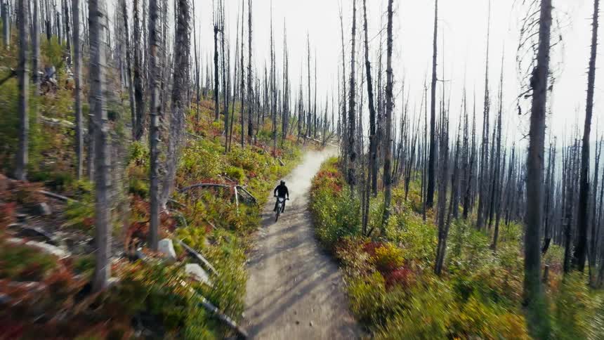 Aerial view of a lone biker kicking up dust on a sunlit forested mountain trail