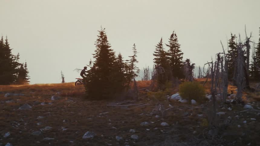 A man stands as he rides his motorcycle on a path into a forest