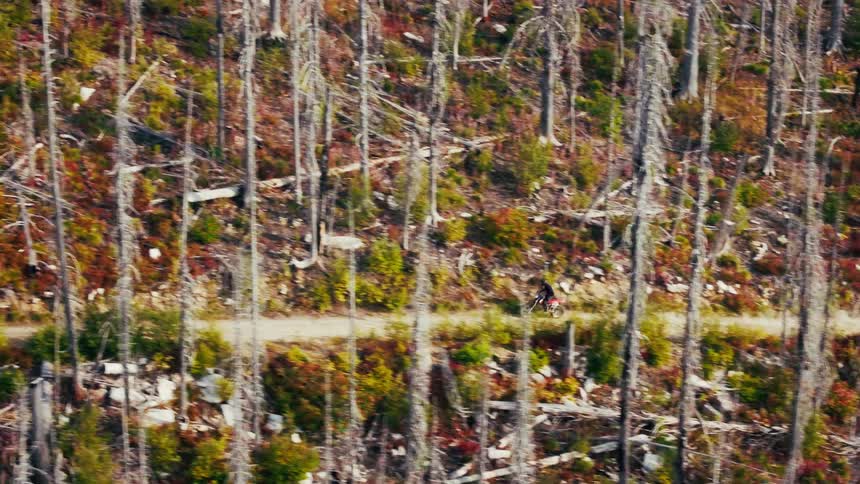 A distant view from above shows a person riding a motorcycle along a dirt road through a vast field of thin bare trees and colorful autumn brush