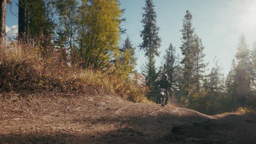 Motocross rider performing a jump on a dirt trail surrounded by trees