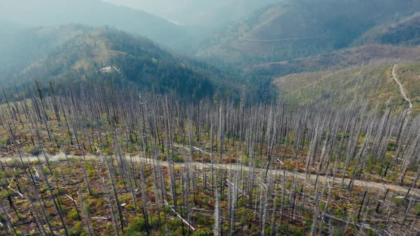 Motorcycle riding along a winding trail through a burnt forest area in a mountainous region seen from above