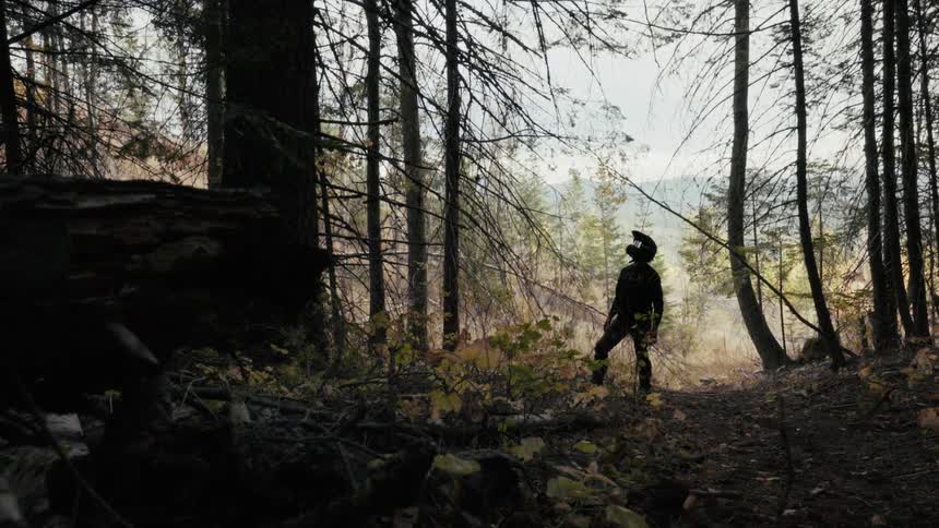 Person wearing a helmet walks along a forest trail with tall trees and fallen leaves