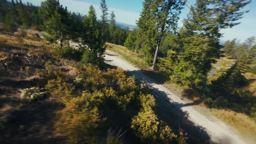 A mountain biker descends quickly down a dusty winding trail carved into a sunny hillsidethe drone footage captures a highspeed chase perspective through a dense evergreen forest with wide views of the valley below