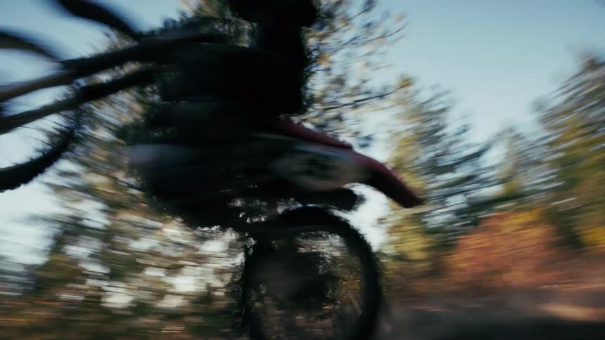 A man in full protective gear performs a wheelie on a dirt bike while speeding down a sundrenched forest trail kicking up dust as he passes