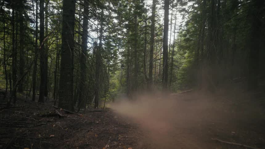 Motorcycle moves along narrow trail in forest with dry leaves and kickedup dust