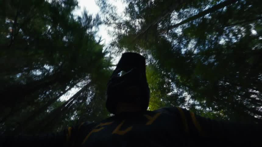 Person wearing a dark helmet observes from among tall trees in a forested area illuminated by the sky