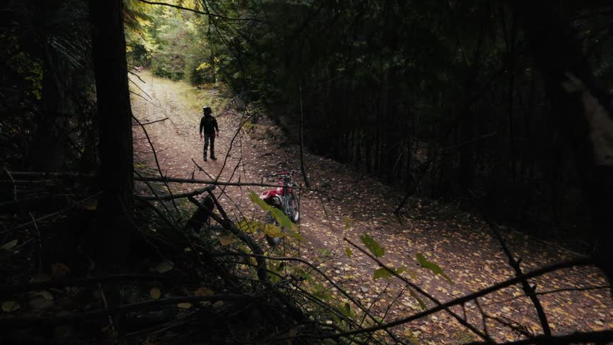 A lone person stands on a leaf covered dirt path in a forest with a parked motorbike nearby