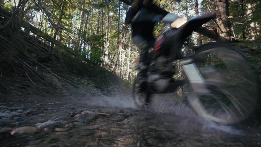 A person rides their mountain bike through a forest