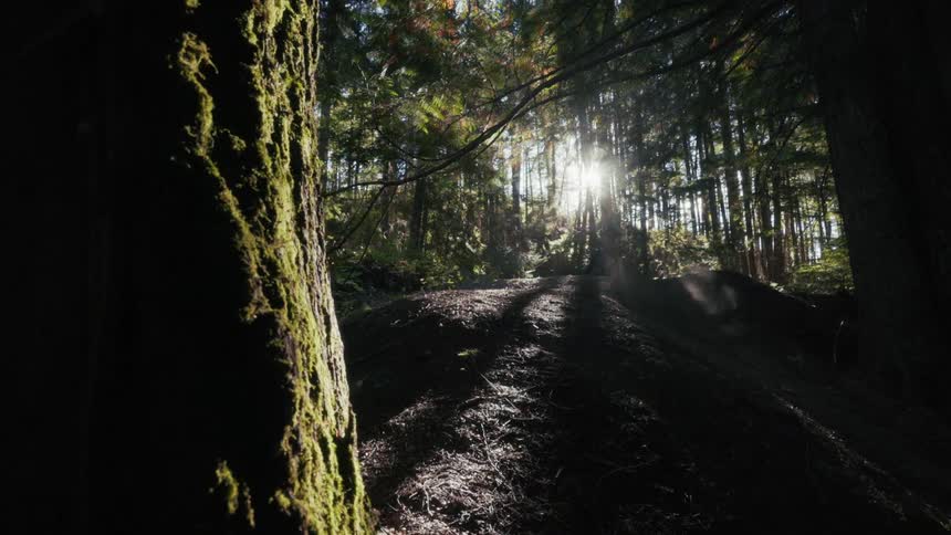 Biker riding a motorcycle over a slope into a grove outdoors during day time