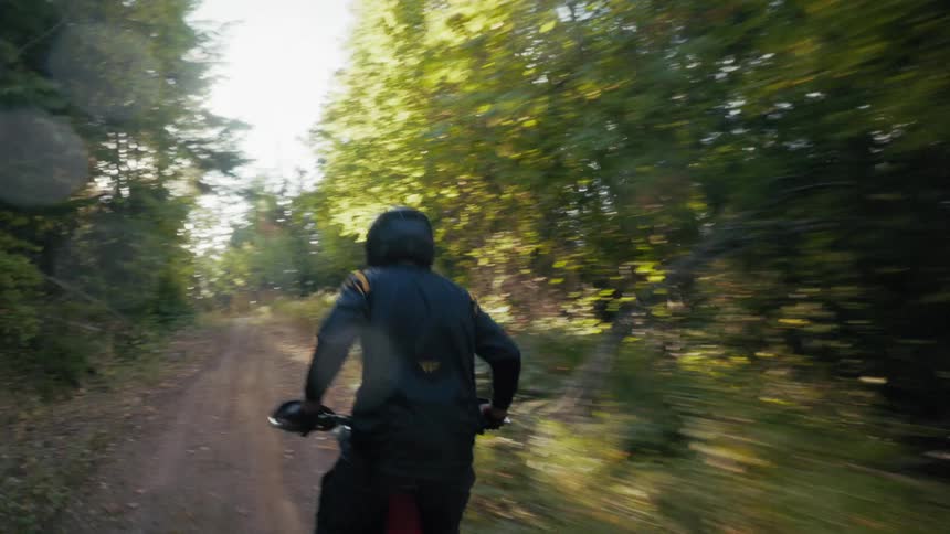 A dirt bike rider navigates a narrow unpaved trail winding through a dense forest bright sunlight filters through the trees creating lens flares as the motorcycle kicks up dust along the path