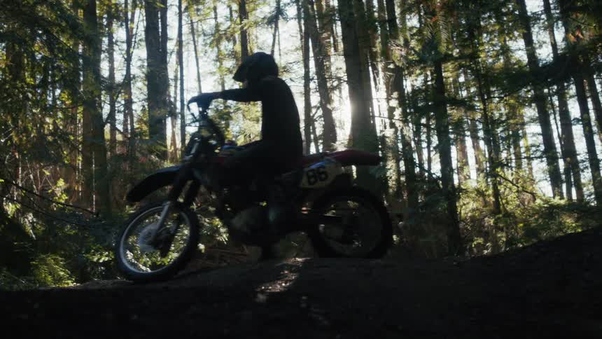 Motorcyclist stationary on forest trail with sunlight filtering through tall trees