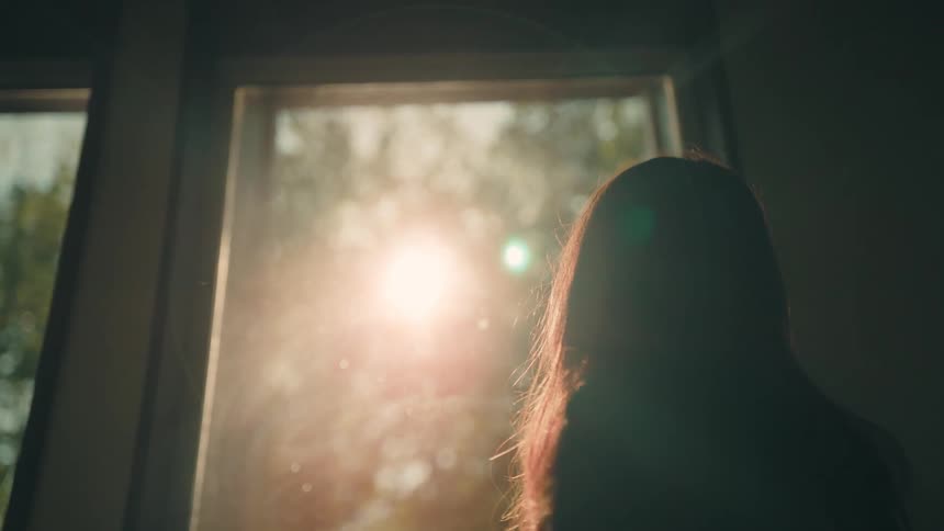 Warm sunlight streams through a window framed by leafy trees softly illuminating the quiet interior as someone gazes toward the glowing view outside