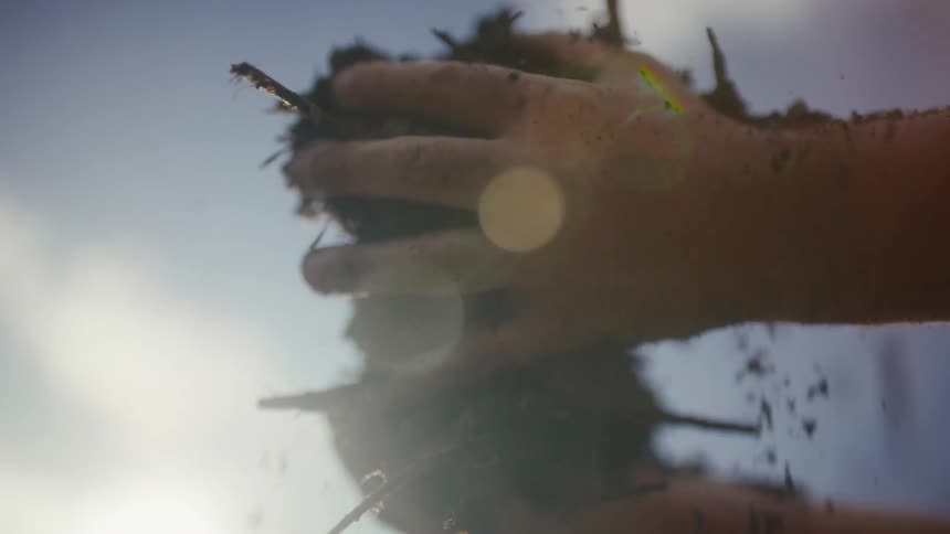 Hands hold loose soil with roots as particles fall against a sunlit sky