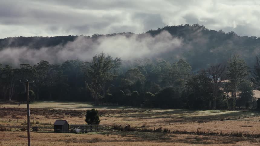 Lowhanging clouds or mist drift slowly across a densely forested hillside overlooking a quiet rural field a small shed and a utility pole stand in the foreground of the goldenhued pasture as the morning light filters through the overcast sky