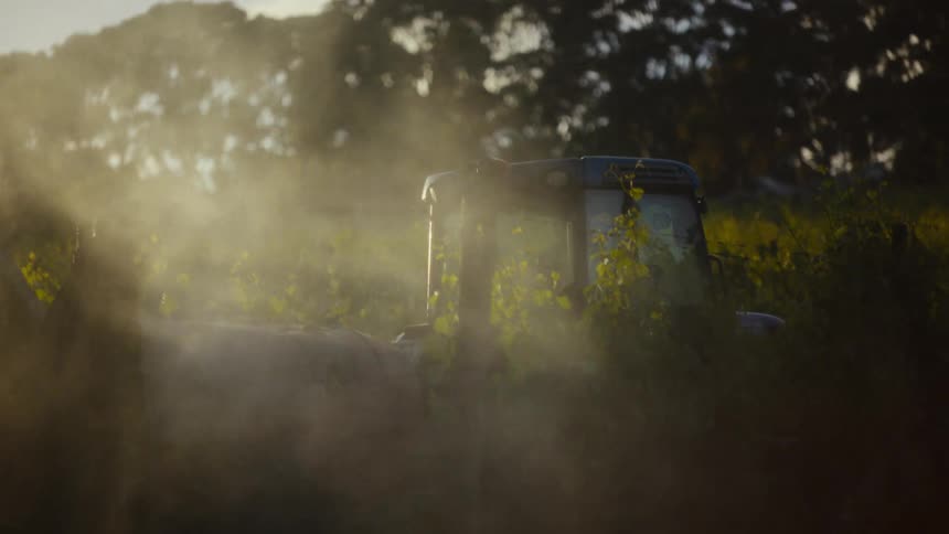 Vehicle partially visible among vegetation with dust suspended and lit by sunlight