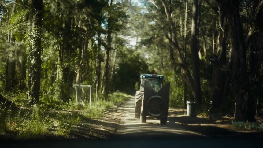 Tractor traveling along a dirt road surrounded by tall trees and dense vegetation under filtered natural light