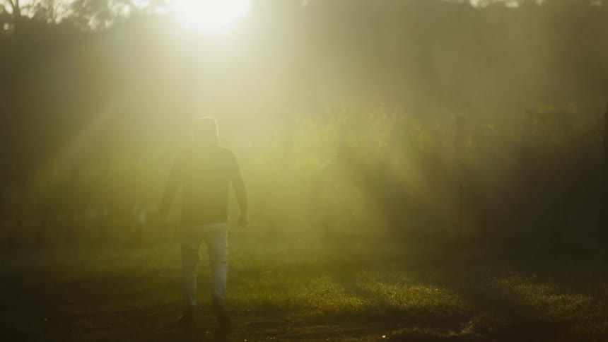 A man wearing a dark shirt and light blue jeans walks away from the camera into a bright field filled with golden sunlight and mist