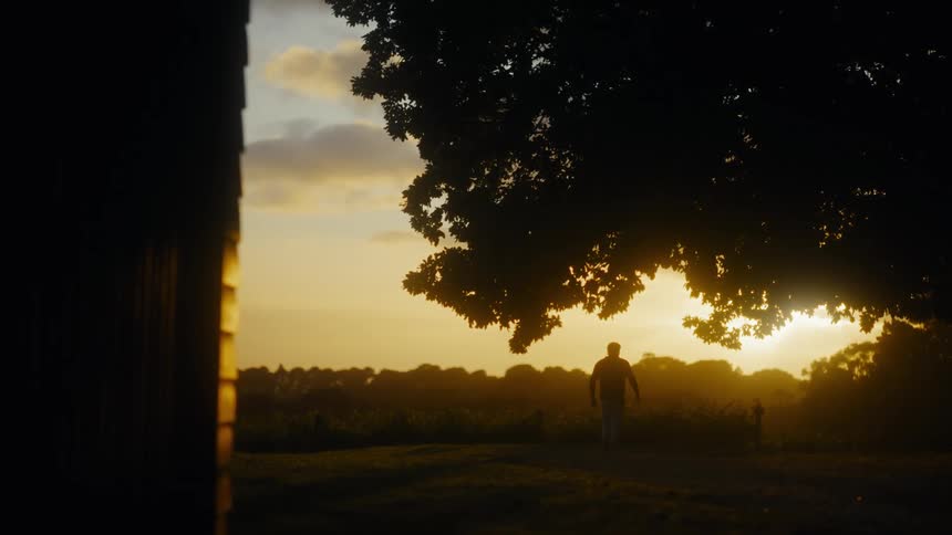 A persons silhouette walks toward the setting sun beneath a large tree