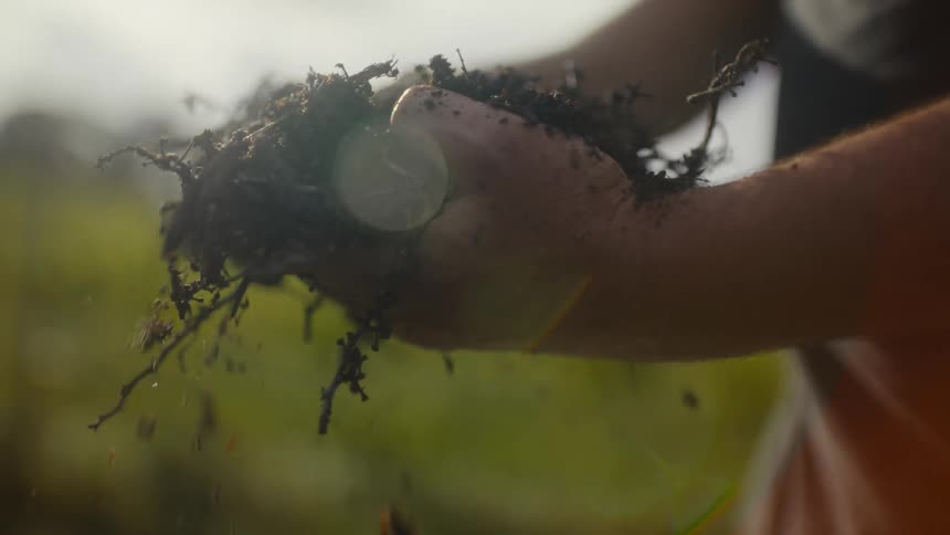 A man holds a large clump of dark moist soil and roots in their hands sifting through the earth outdoors