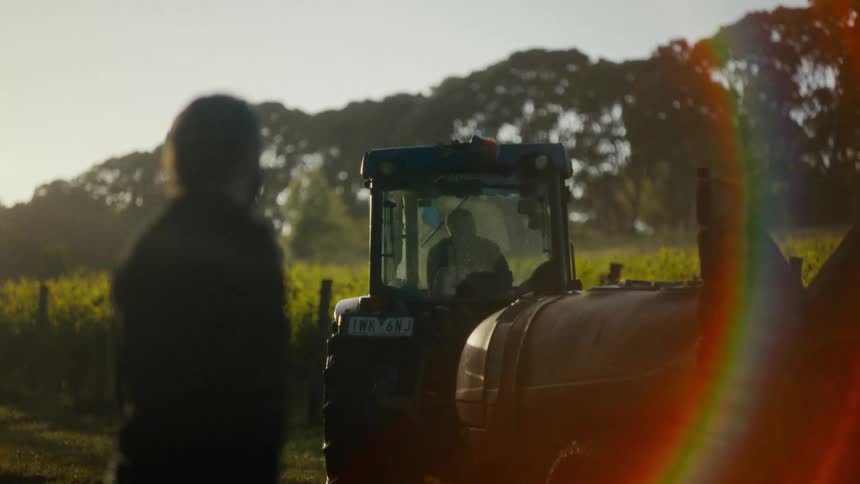 A tractor drives through a vineyard at golden hour kicking up a light mist as it passes a person standing in the foregroundthe scene is captured with a warm lens flare highlighting the rural landscape and the rows of vines stretching toward the dist