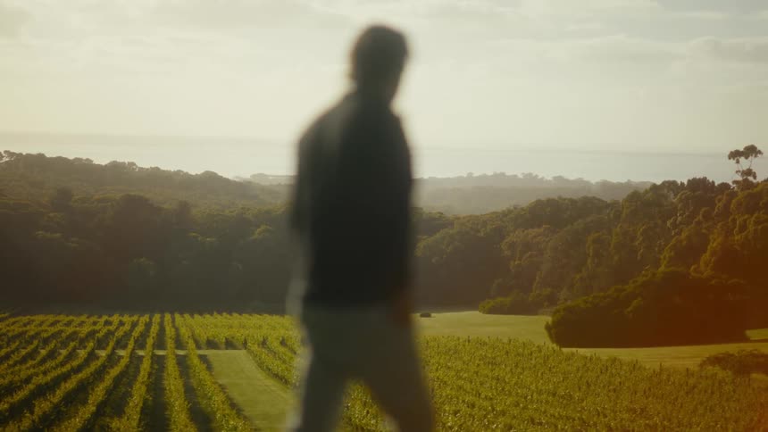 Person observes rural landscape with aligned crops and hills in the distance