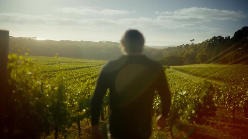 Person walks through vineyard in rural area with hills and forest in the background