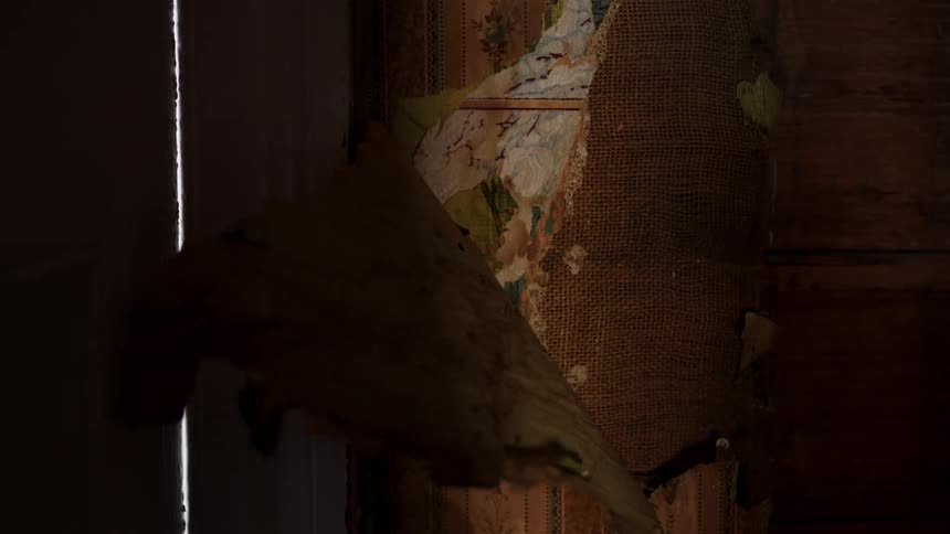 A view of some items in a house