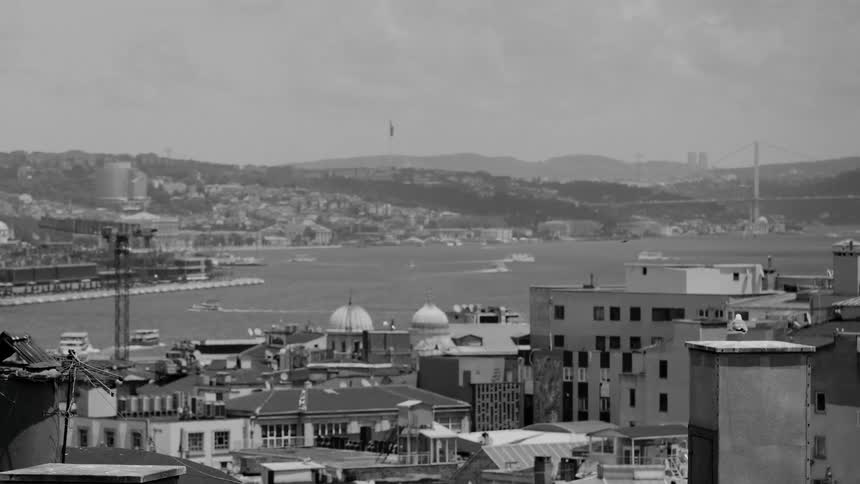 Blackandwhite cityscape shows dense urban area with varied architecture and bridge over water