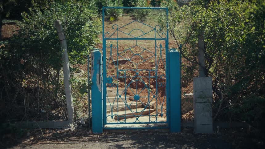 A blue gate of a garden at daytime
