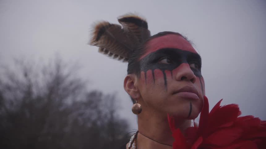 A person with indigenous face paint and a feathered headpiece gazes stoically into the distance the lowangle shot captures them against a grey overcast sky and bare winter trees