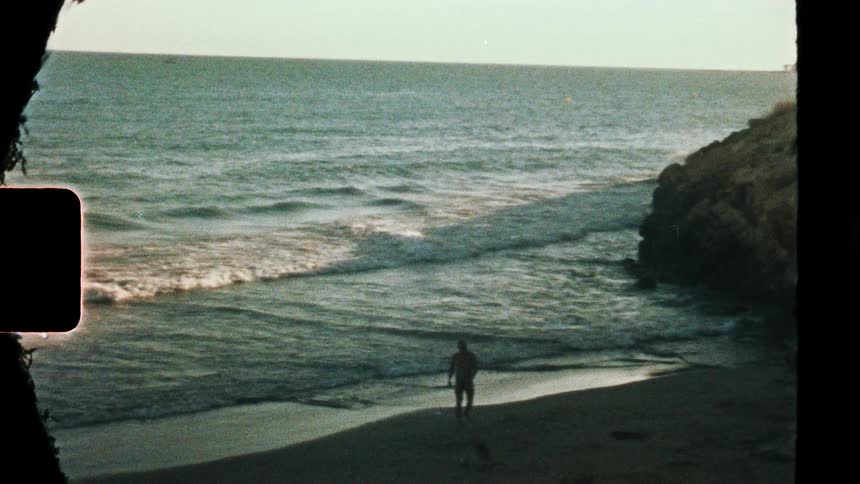 A man playing and having fun with dog along the beach shoreline on a sunny day