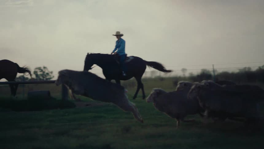 Men sit on their horses as a herd of sheep runs past