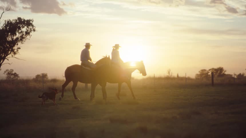 Bathed in the warm golden glow of a setting sun a man and woman ride their horses across a vast grassy field while their loyal dog trots happily beside them