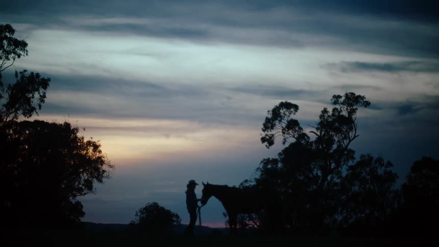 A person wearing a widebrimmed hat stands in silhouette next to a horse under a darkening twilight skyfaint orange light from the setting sun glows on the horizon framed by the dark shapes of trees on either side