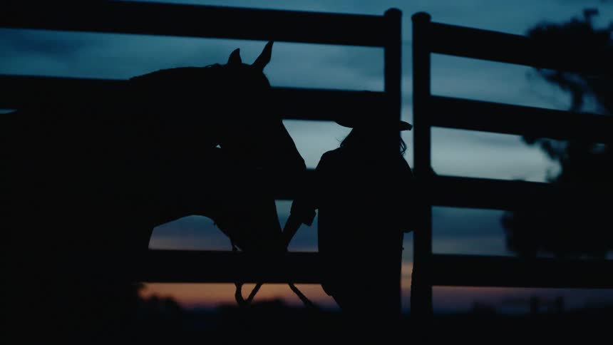 A cowboy is walking a horse in a fenced area