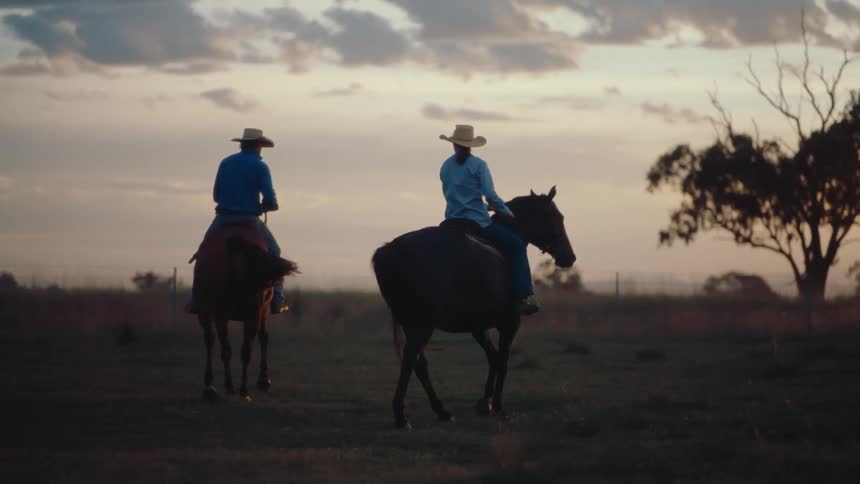 Two people wearing cowboy hats are riding horses