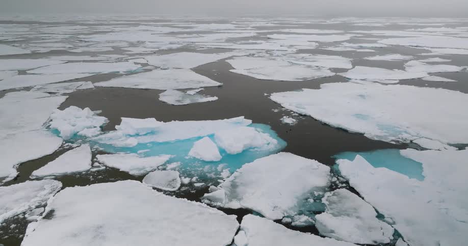 Large sheets of ice are broken up in water