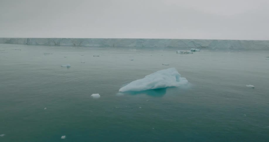 Icebergs are floating in the sea near a coast